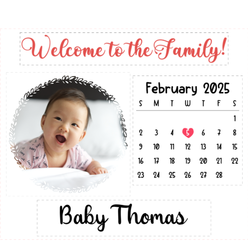 Milestone Moments – Baby Birthday Calendar - Matte Canvas, Framed (Multi-color)